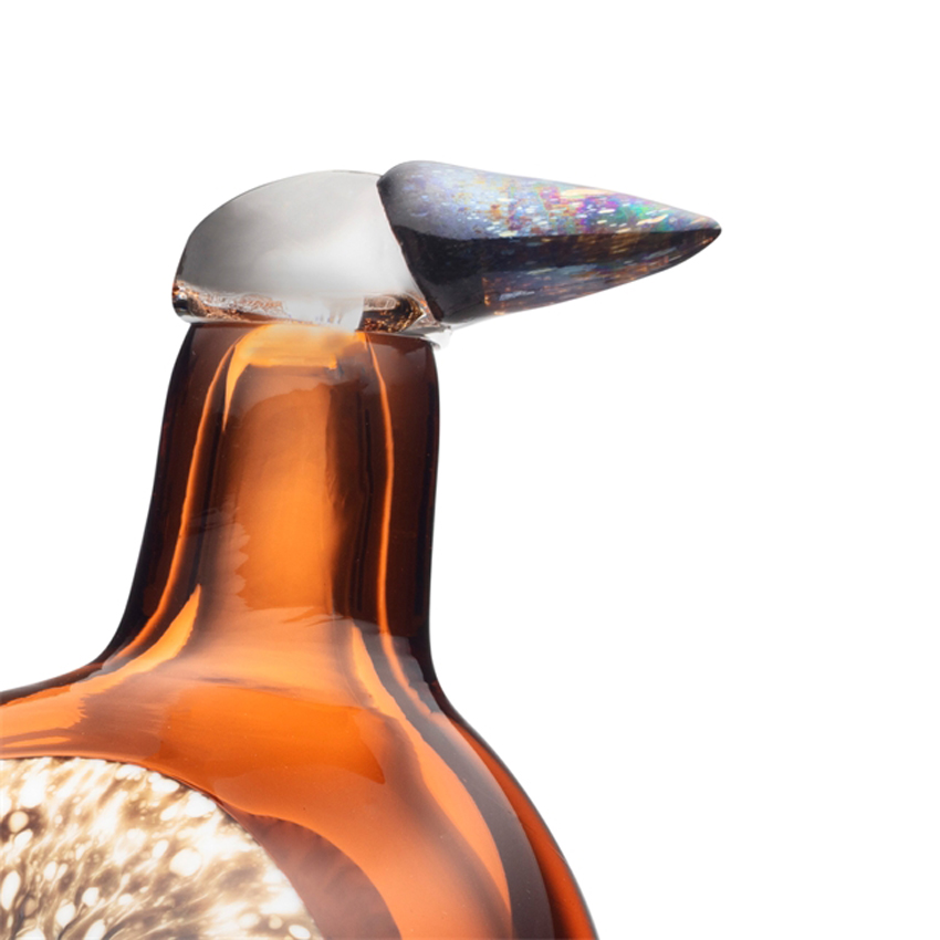 アニュアルバード2026 セビリアオレンジ