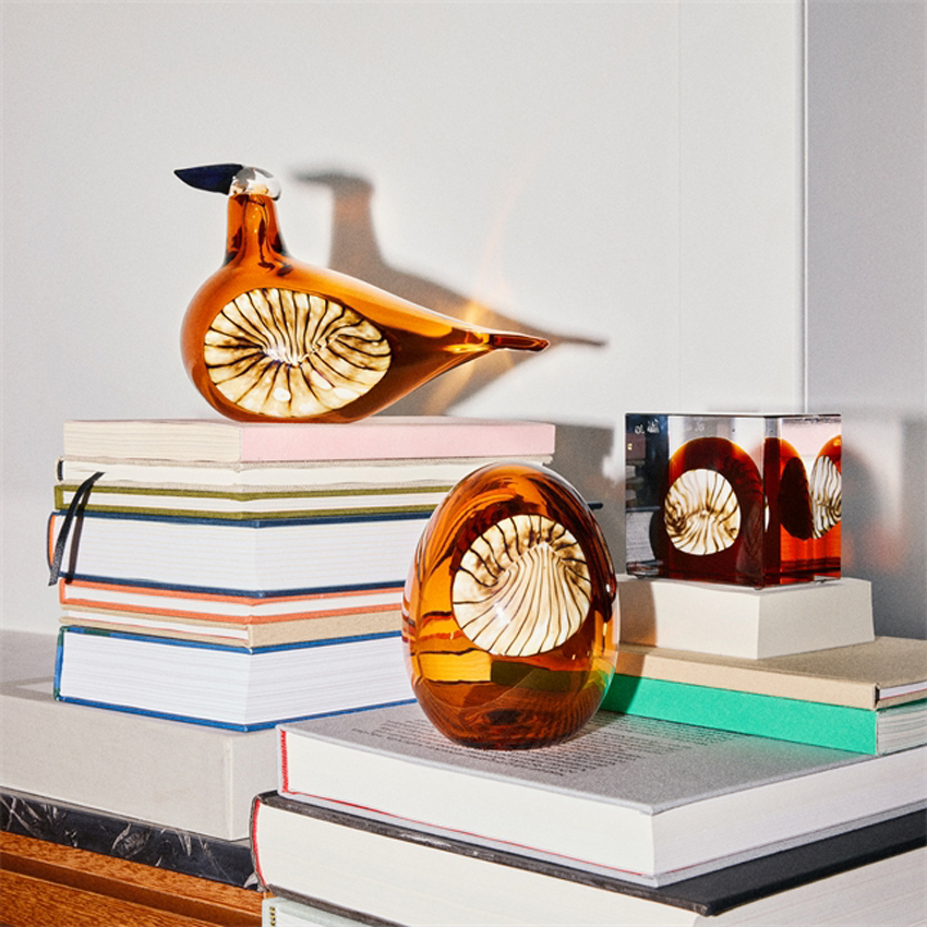 アニュアルバード2026 セビリアオレンジ