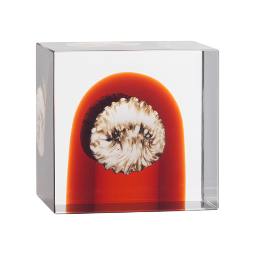 アニュアルキューブ2026 セビリアオレンジ