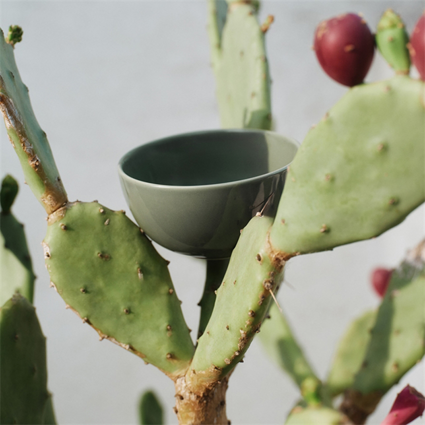 24h デザートボウル 0.3L エバーグリーン