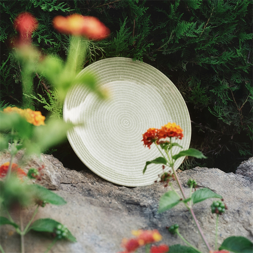 24h アベック プレート 26cm グリーン(24h)