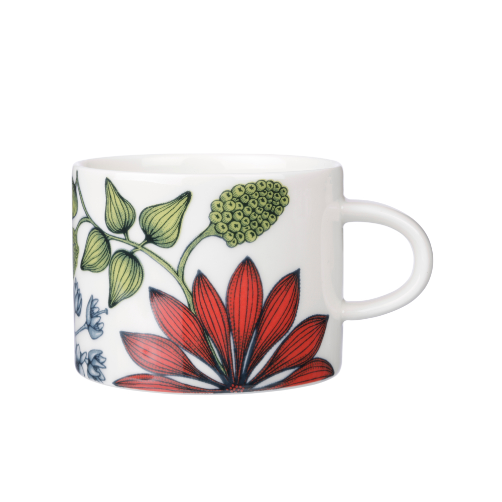 ルノ サマーレイ カップ＆ソーサー