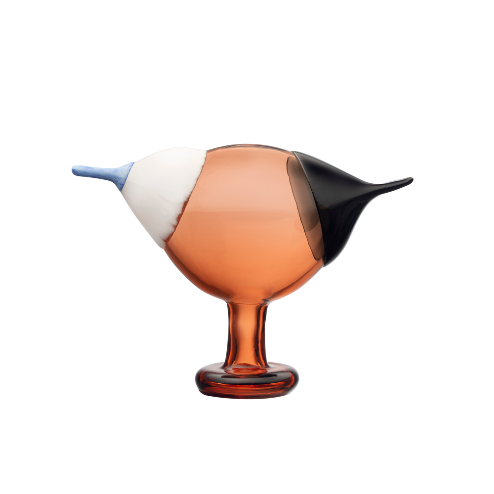 バード バイ トイッカ ブルーマグパイ セビリアオレンジ