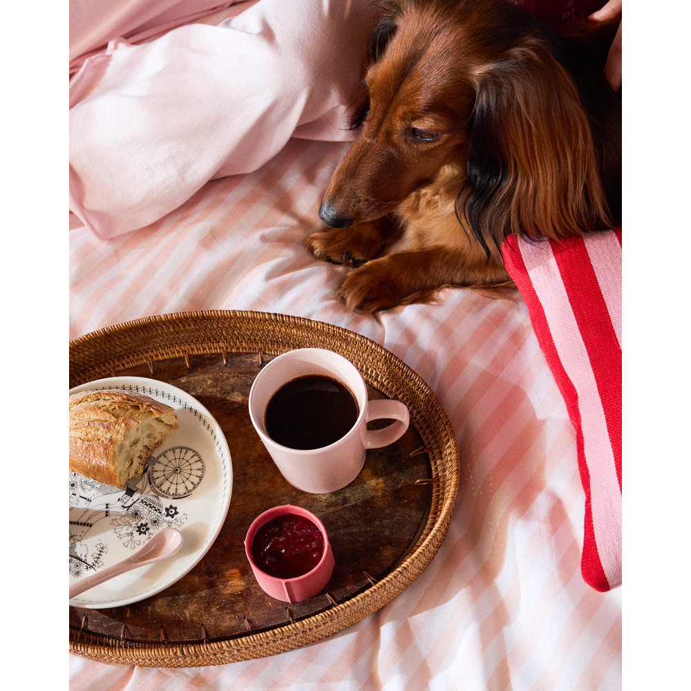 マイニオiittala/Arabia|北欧食器のイッタラ&アラビア【公式通販】 マイニオiittala/Arabia|北欧食器のイッタラ&アラビア【公式通販】
