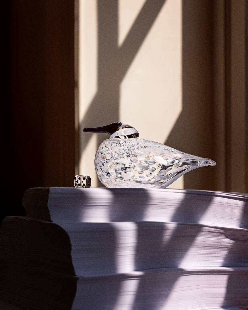 IITTALA】2025年11月 新作のご紹介iittala/Arabia|北欧食器のイッタラ