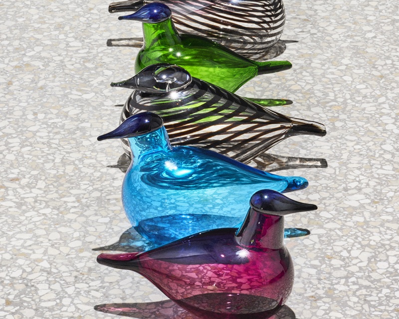 チフチャフ｜ヨタカ